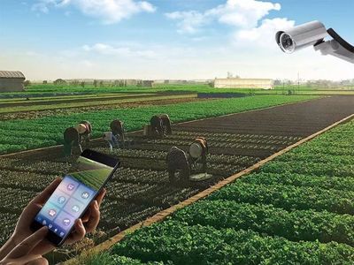 華安迪夢溫泉康養(yǎng)小鎮(zhèn) 融合“吃住玩游樂購”與溫泉技術(shù)研發(fā)的理想目的地