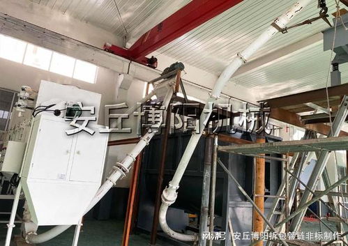 南京鋁粉自動(dòng)拆袋機(jī) 密封式自動(dòng)破袋設(shè)備原理